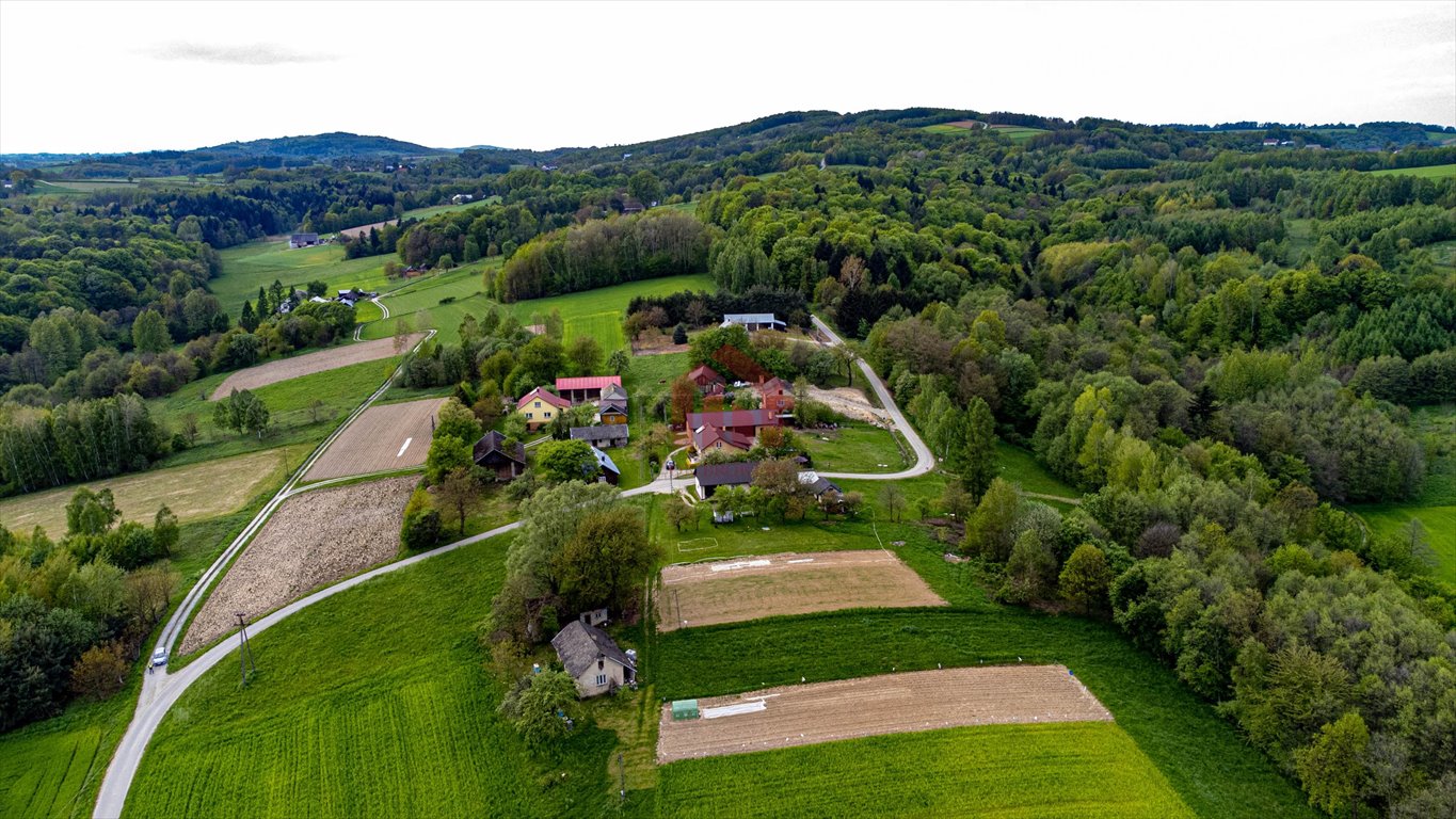 Działka budowlana na sprzedaż Jodłowa  2 700m2 Foto 13