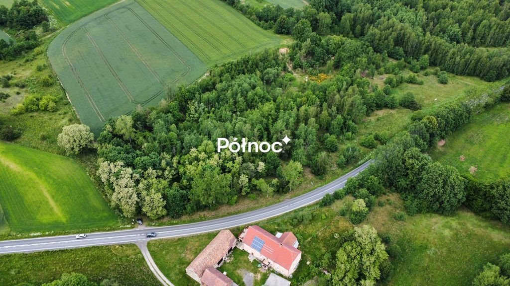 Działka usługowa 17 501 m², media, plan rozwoju Nawojów Łużycki  17 501m2 Foto 1