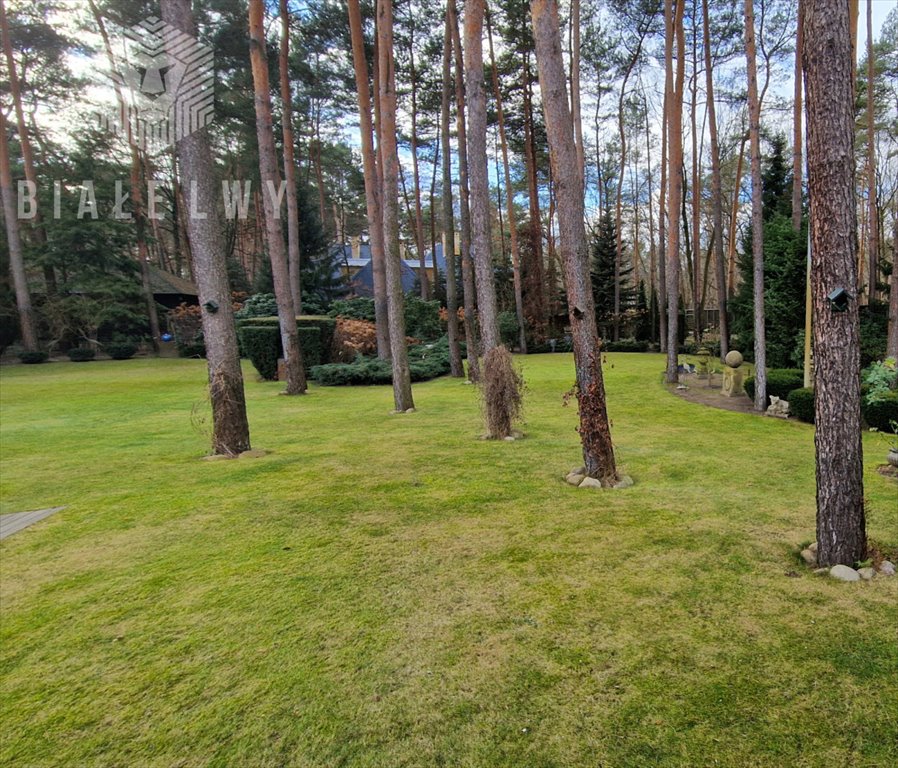 Działka budowlana na sprzedaż Łomianki, Dąbrowa Leśna, Leśnych Dębów  5 200m2 Foto 1