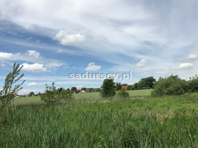 Działka inna na sprzedaż Januszowice 7 200m2 Foto 1 Działka inna na sprzedaż Januszowice 7 200m2 Foto 1