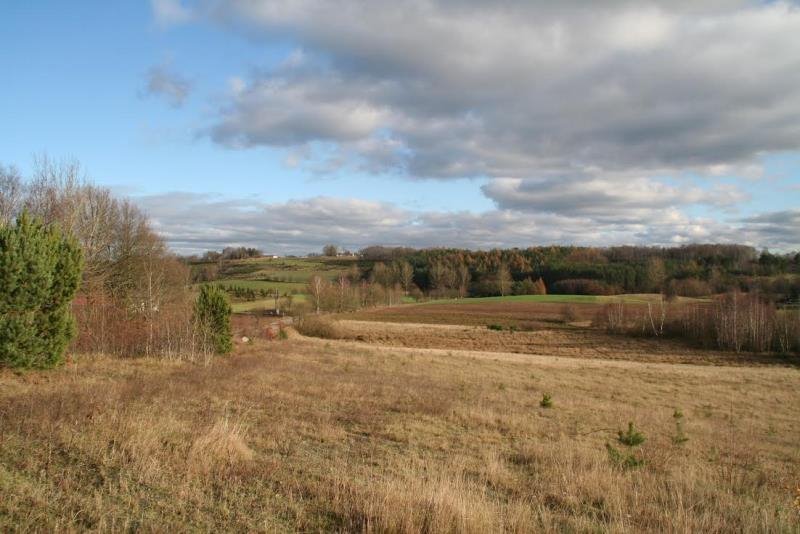 Działka inna na sprzedaż Borzestowo, bez nazwy  43 288m2 Foto 3