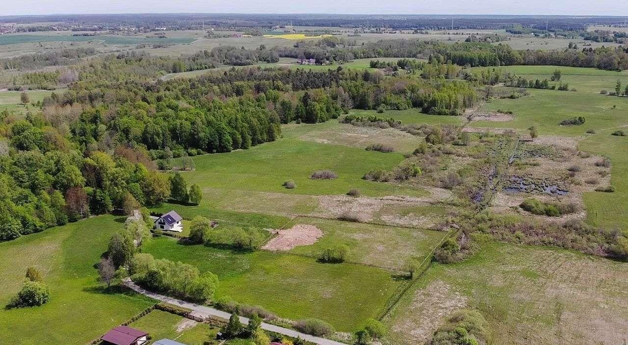 Działka budowlana na sprzedaż Dźwierzuty  5 600m2 Foto 12