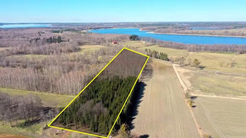 Leśna działka na Mazurach 2,02 ha blisko jeziora Harsz  20 200m2 Foto 1