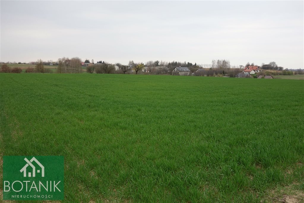 Sprzedam działkę 2300 m² na wzgórzu w Panieńszczyźnie Panieńszczyzna  2 300m2 Foto 1