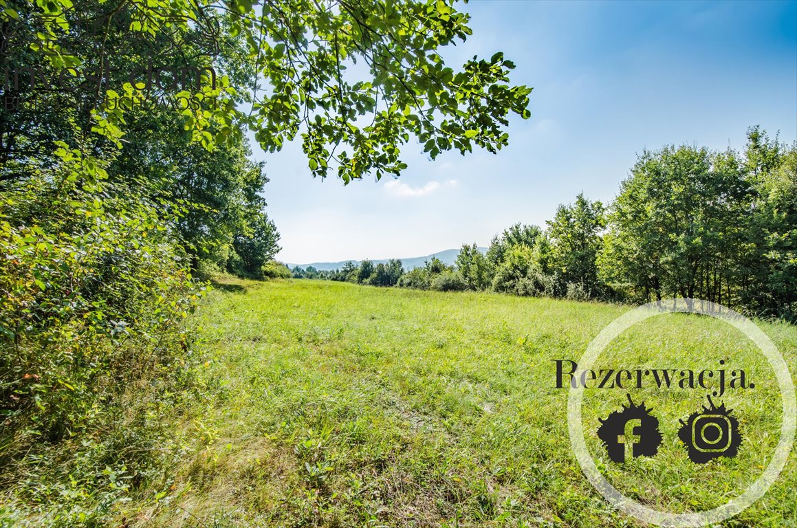 Działka 15 200 m² z dostępem do infrastruktury i widokami Ropica Polska  15 199m2 Foto 1
