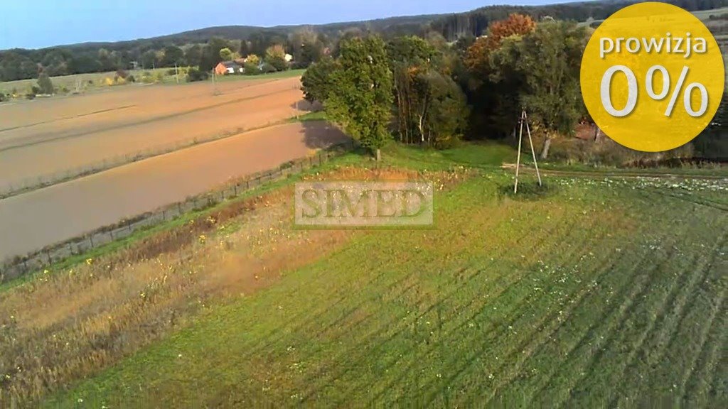 Polecam działkę 2905 m² w Tułowicach z warunkami zabudowy Tułowice  2 905m2 Foto 1