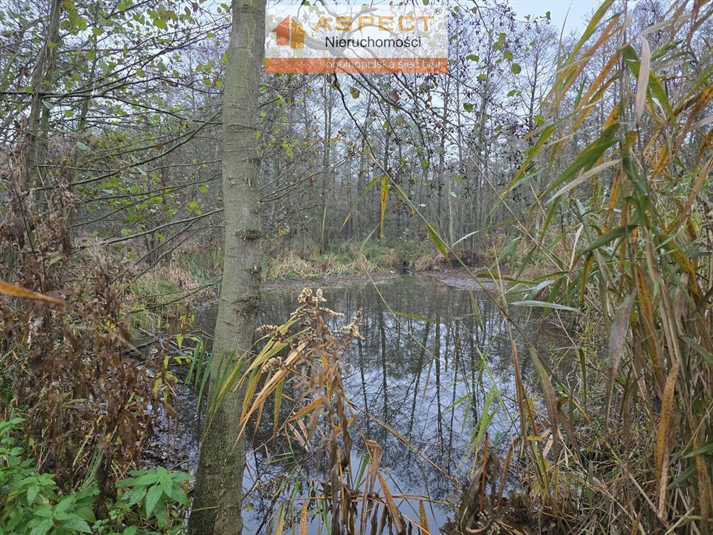 Działka inna na sprzedaż Strzałki  1 758m2 Foto 5