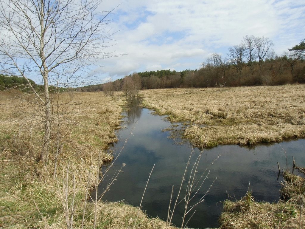 Działka rolna na sprzedaż Tawęcino  136 800m2 Foto 6