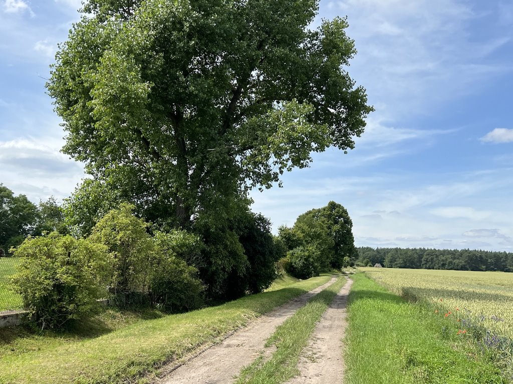 Działka budowlana na sprzedaż Ochodze, Prószkowska  10 100m2 Foto 1