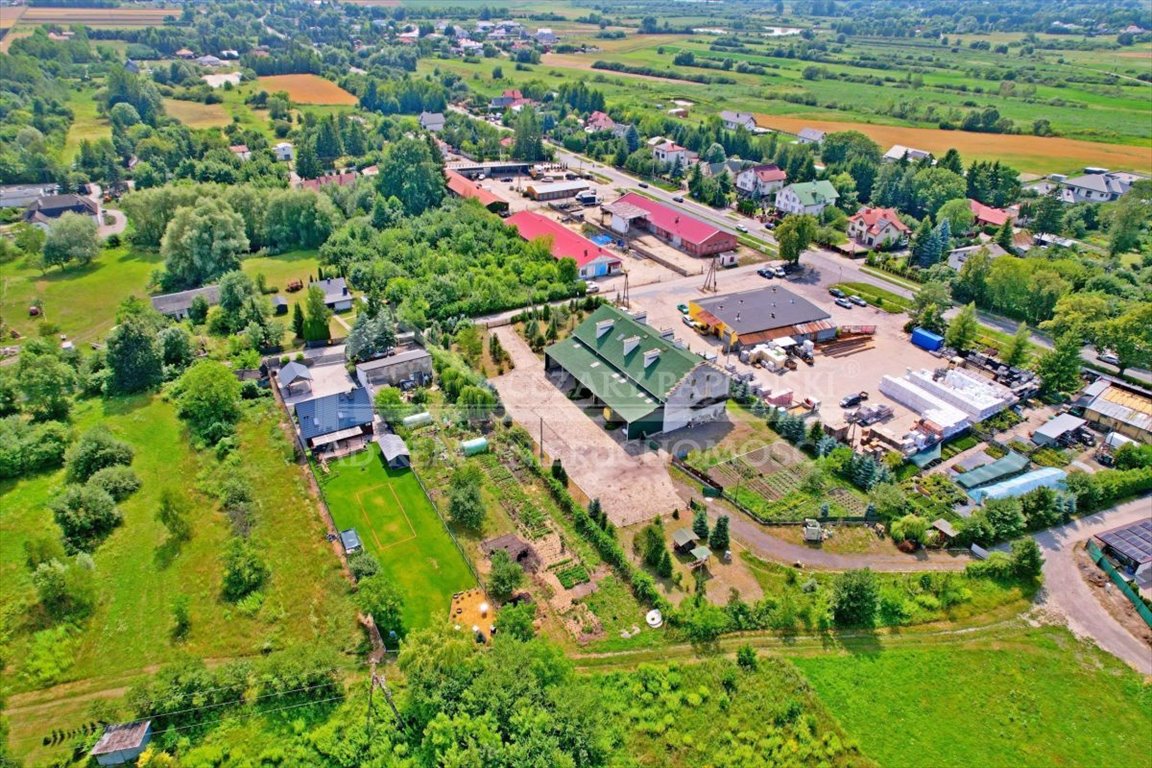 Zdjęcie 7