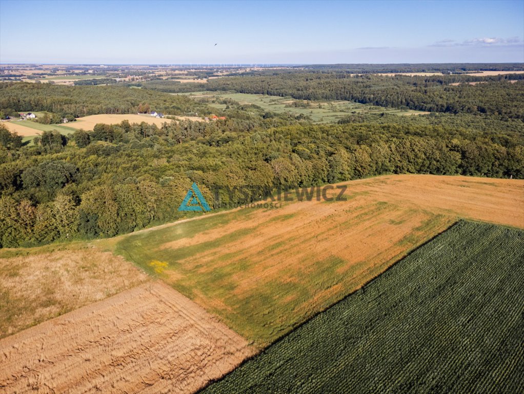 Działka rolna na sprzedaż Lisewo, Leśna  3 032m2 Foto 8