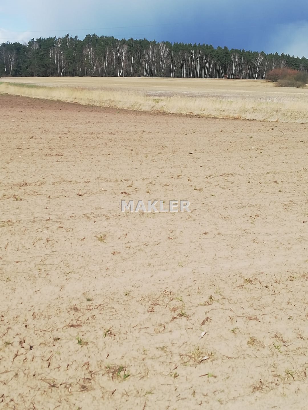 Działka budowlana na sprzedaż Krążkowo  3 000m2 Foto 2