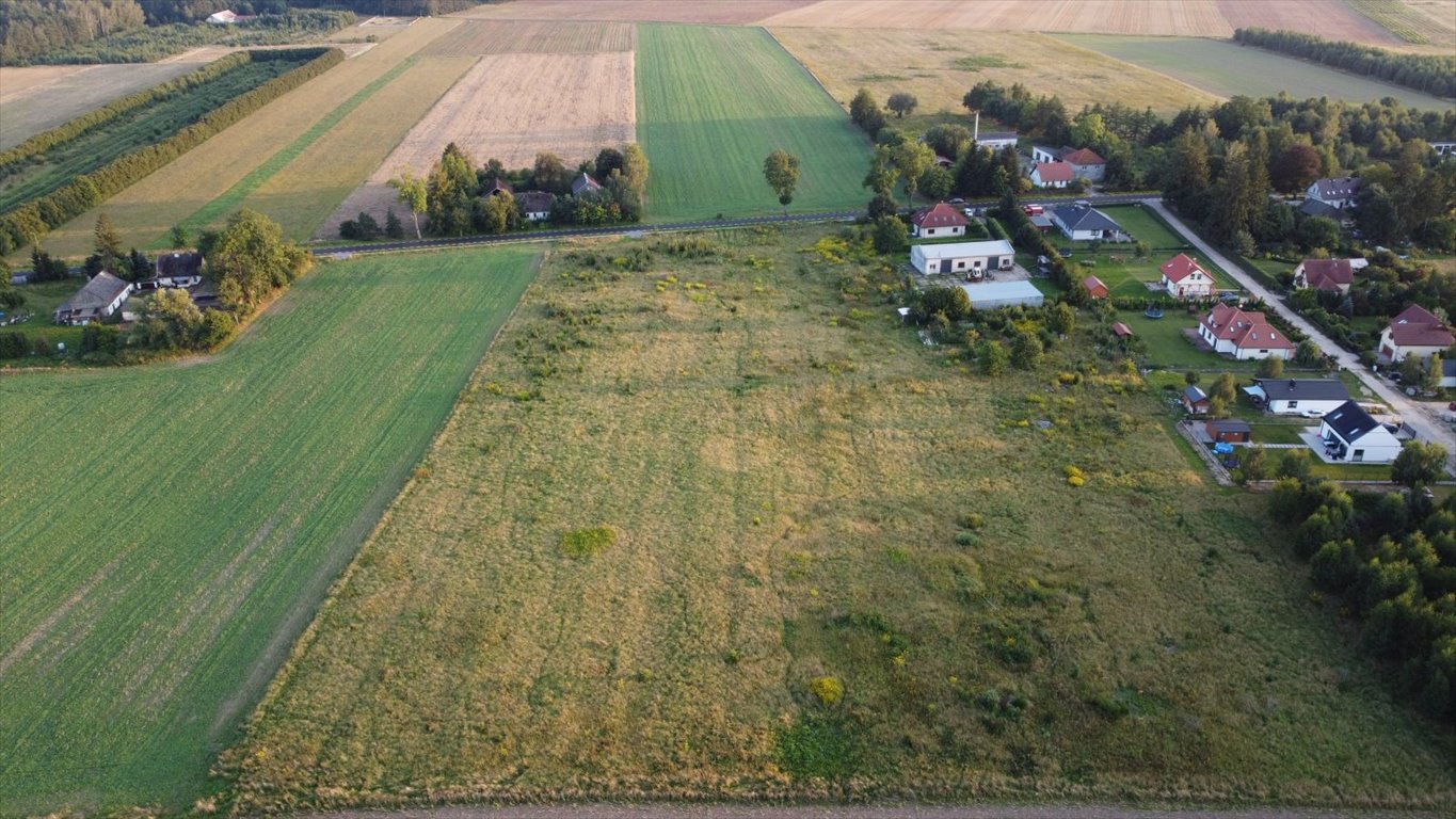 Działka budowlana na sprzedaż Głobino, Pogodna  13 800m2 Foto 8