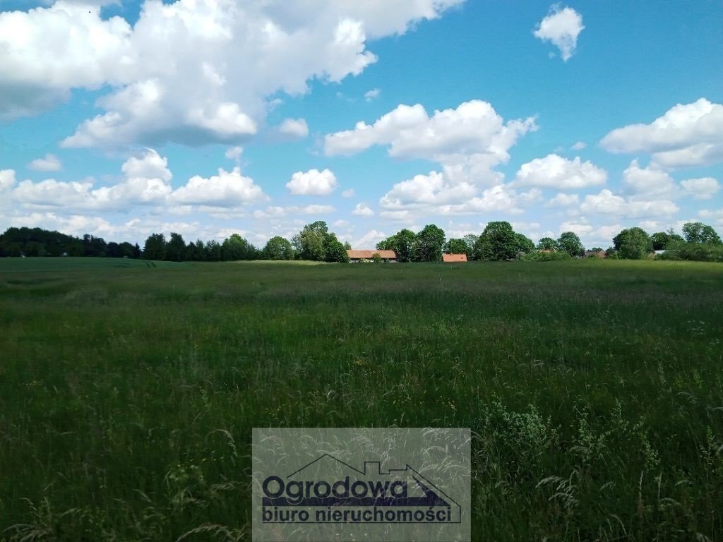 Działka 1660 m² z widokiem na jezioro Żywy - inwestycja Żywy  1 660m2 Foto 1