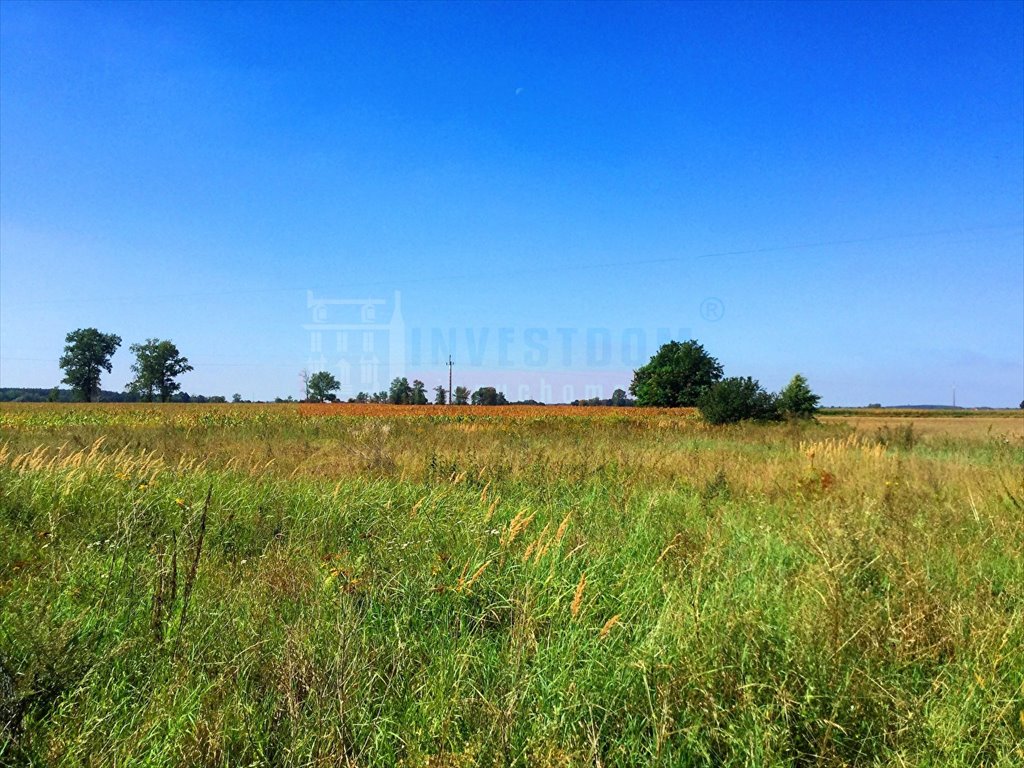 Działka inna na sprzedaż Pogorzela  3 000m2 Foto 1