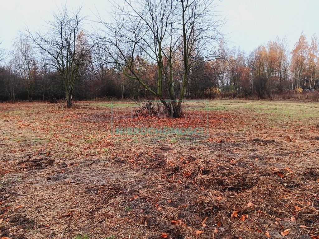 Działka budowlana na sprzedaż Rusiec  1 000m2 Foto 5