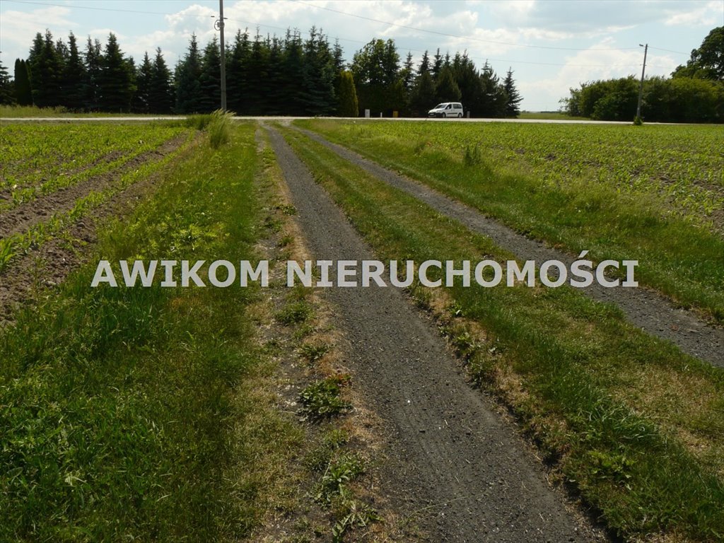 Działka budowlana na sprzedaż Skierniewice, Miedniewice  1 533m2 Foto 14