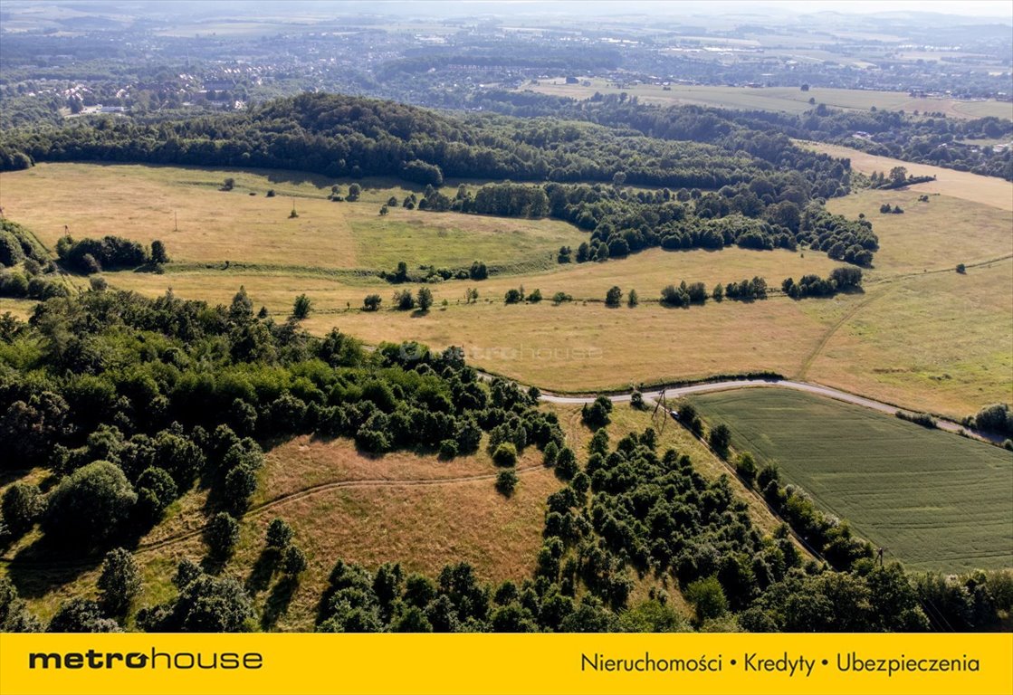 Działka rekreacyjna na sprzedaż Wojciechowice  110 000m2 Foto 2