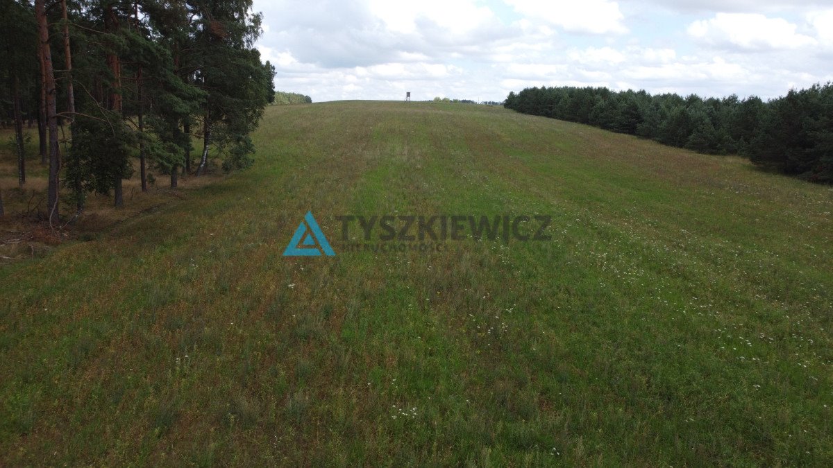 Działka rolna na sprzedaż Brzezinka  35 700m2 Foto 2