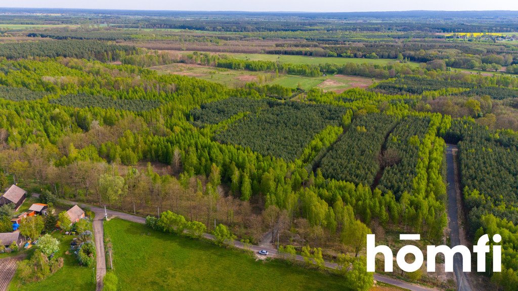 Działka budowlana na sprzedaż Jaźwiny  21 960m2 Foto 3