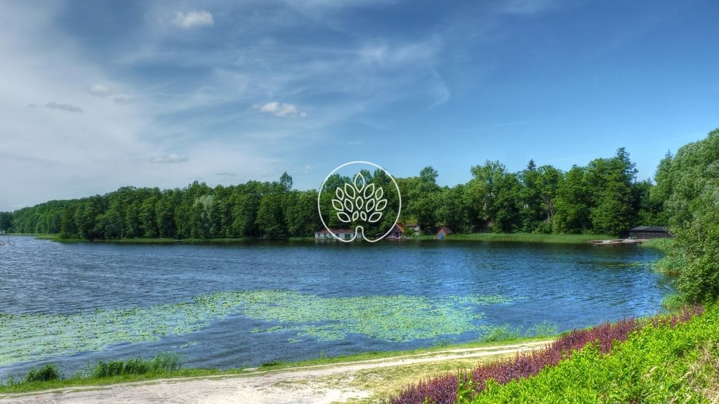 Działka inna na sprzedaż Dziechowo  8 661m2 Foto 1