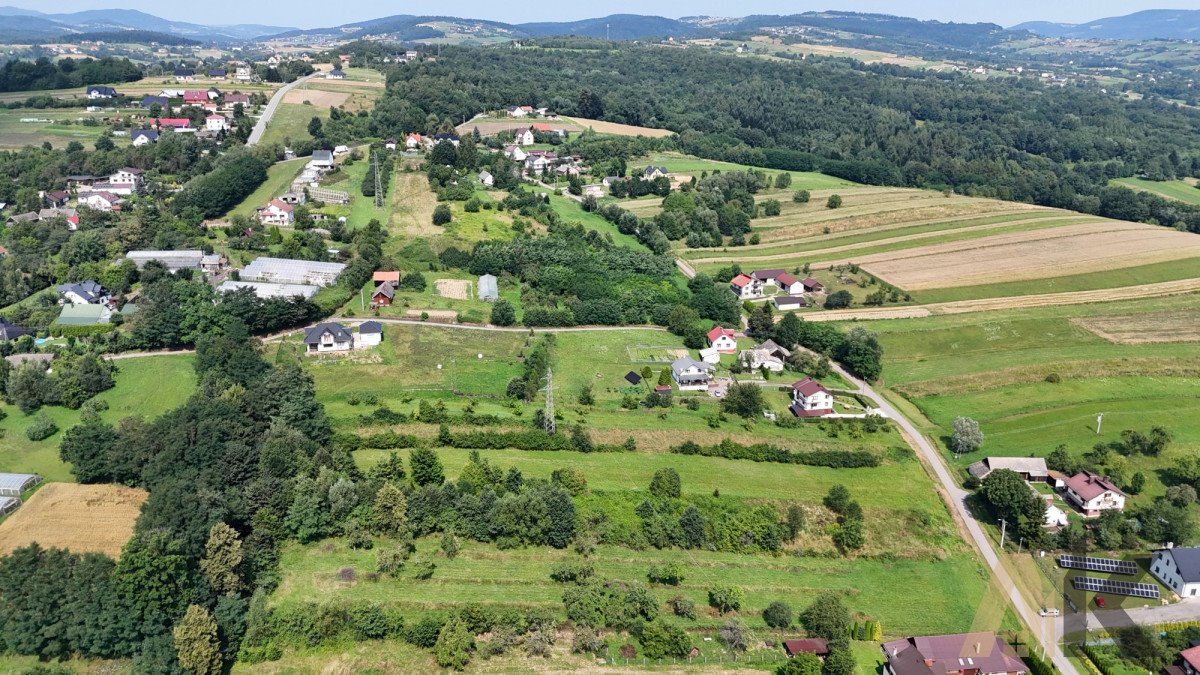 Działka budowlana na sprzedaż Chochorowice  3 800m2 Foto 6