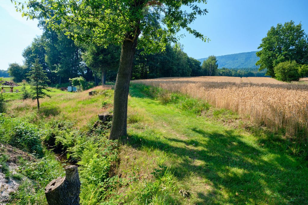 Działka rolna na sprzedaż Czaniec  4 082m2 Foto 12