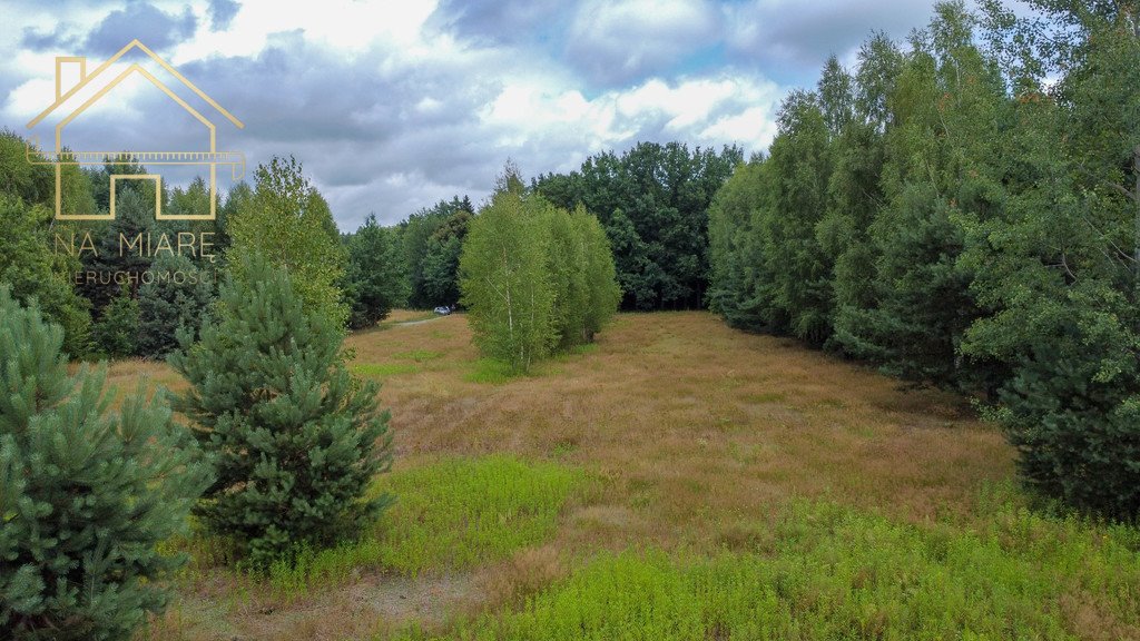 Działka budowlana na sprzedaż Kłoda, Leśna  1 808m2 Foto 8