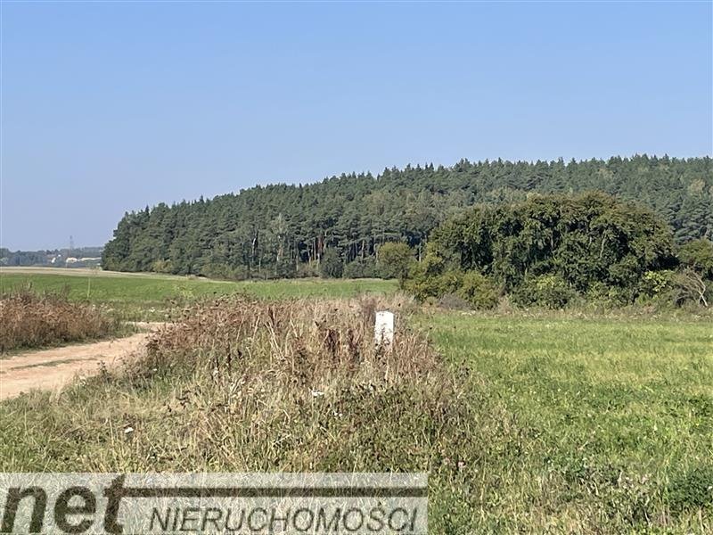 Działka inna na sprzedaż Juszkowo, SŁONECZNE WZGÓRZA  1 190m2 Foto 1