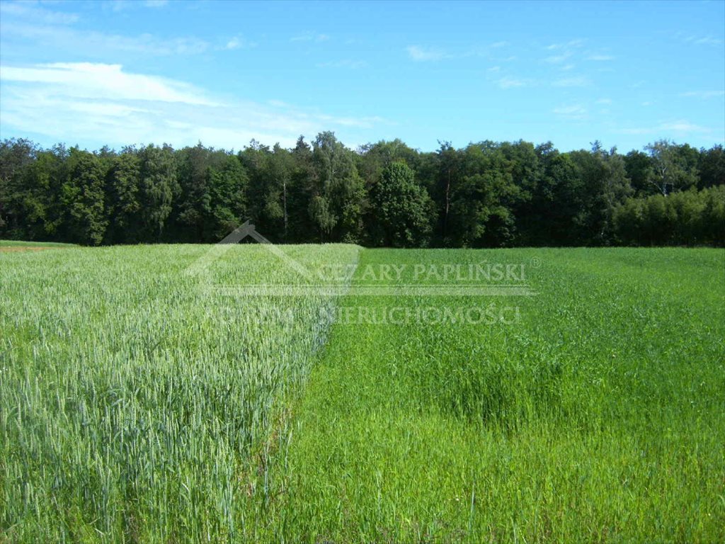 Działka budowlana na sprzedaż Piotrowice, Piotrowice 2 000m2 Foto 1 Działka budowlana na sprzedaż Piotrowice, Piotrowice 2 000m2 Foto 1