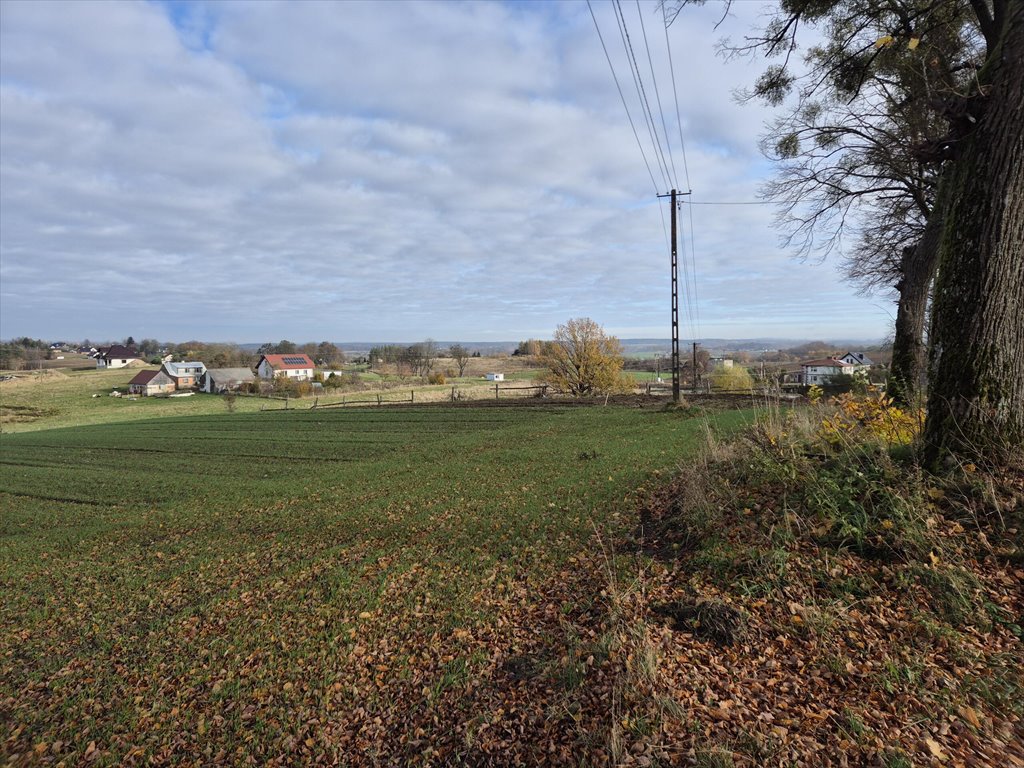 Działka budowlana na sprzedaż Barłomino  10 400m2 Foto 5