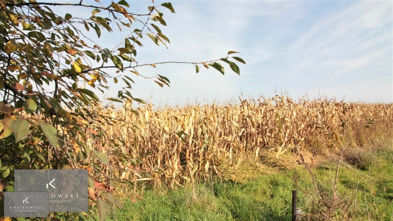 Działka inna na sprzedaż Namysłów, Gmina Namysłów  900m2 Foto 5