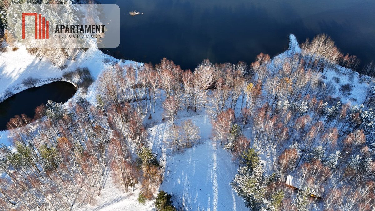 Działka gospodarstwo rolne na sprzedaż Przęsin  3 000m2 Foto 26