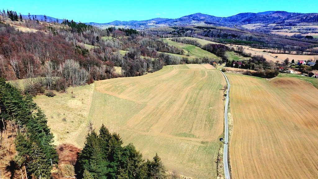 Działka budowlana na sprzedaż Rogówek  3 063m2 Foto 1