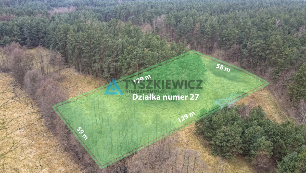 Działka budowlana na sprzedaż Gołębiewo Wielkie, Maciejki  7 500m2 Foto 2