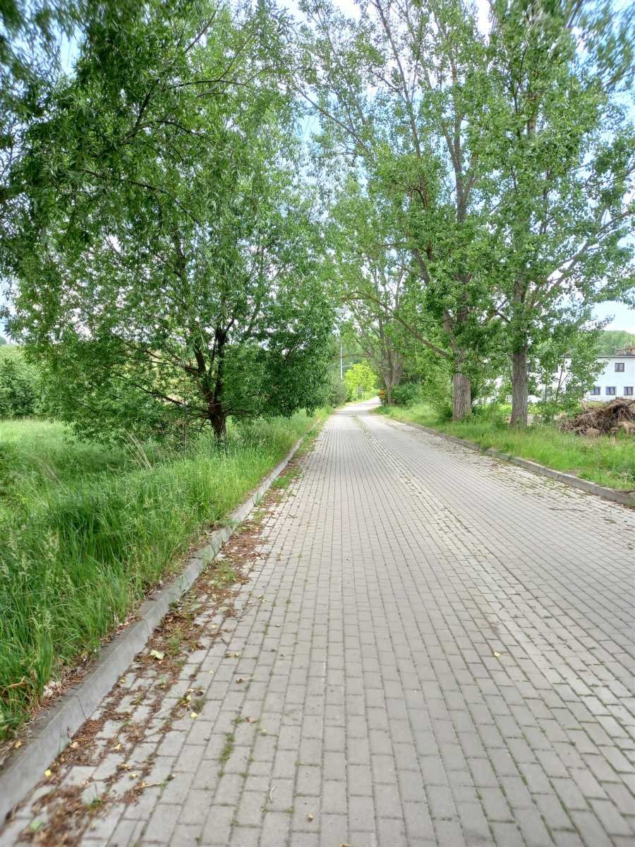 Działka budowlana na sprzedaż Chwaliszów, Chwaliszów  52 000m2 Foto 18