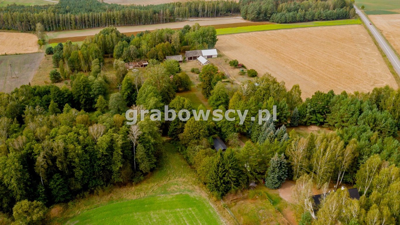 Działka inna na sprzedaż Czerewki  3 043m2 Foto 3