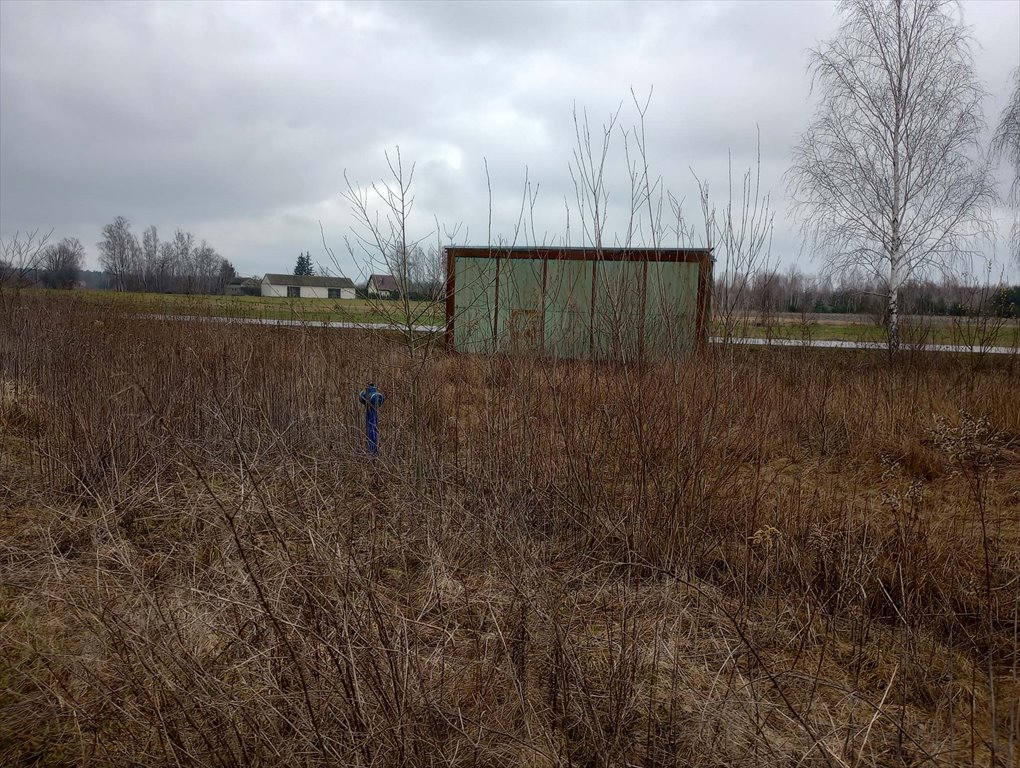 Działka budowlana na sprzedaż Stanisławów  2 920m2 Foto 8