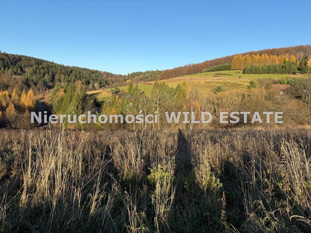 Działka 25 arów z widokiem na Bieszczady - zapraszam Baligród  2 493m2 Foto 1