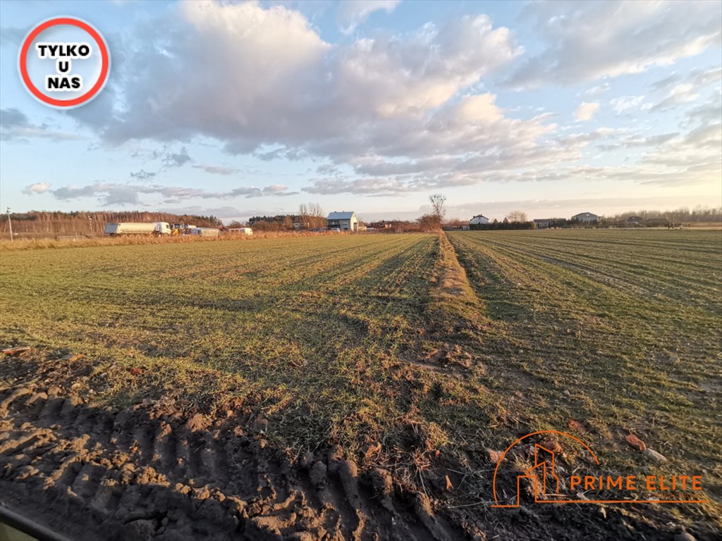 Polecam działkę 5400 m² z mediami i planem usługowo-mieszkaniowym Krze Duże  5 400m2 Foto 1