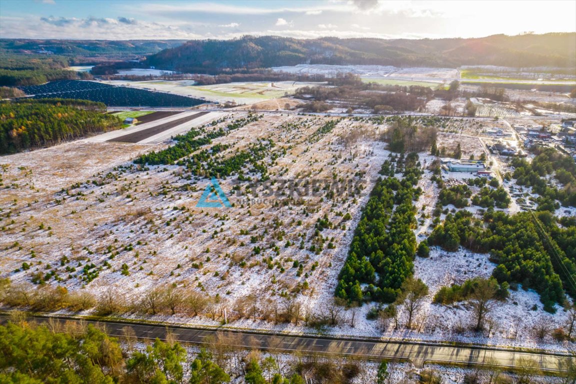 Działka przemysłowo-handlowa na sprzedaż Bożepole Małe  36 800m2 Foto 11