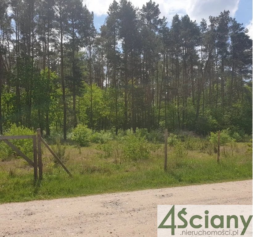Działka leśna z prawem budowy na sprzedaż Strzeniówka  2 000m2 Foto 3