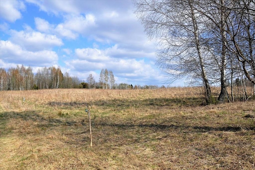 Działka budowlana na sprzedaż Łomy  83 000m2 Foto 1