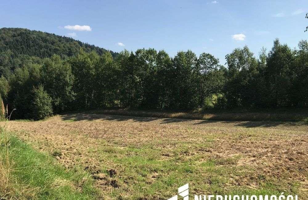 Działka inna na sprzedaż Lgota  2 996m2 Foto 1