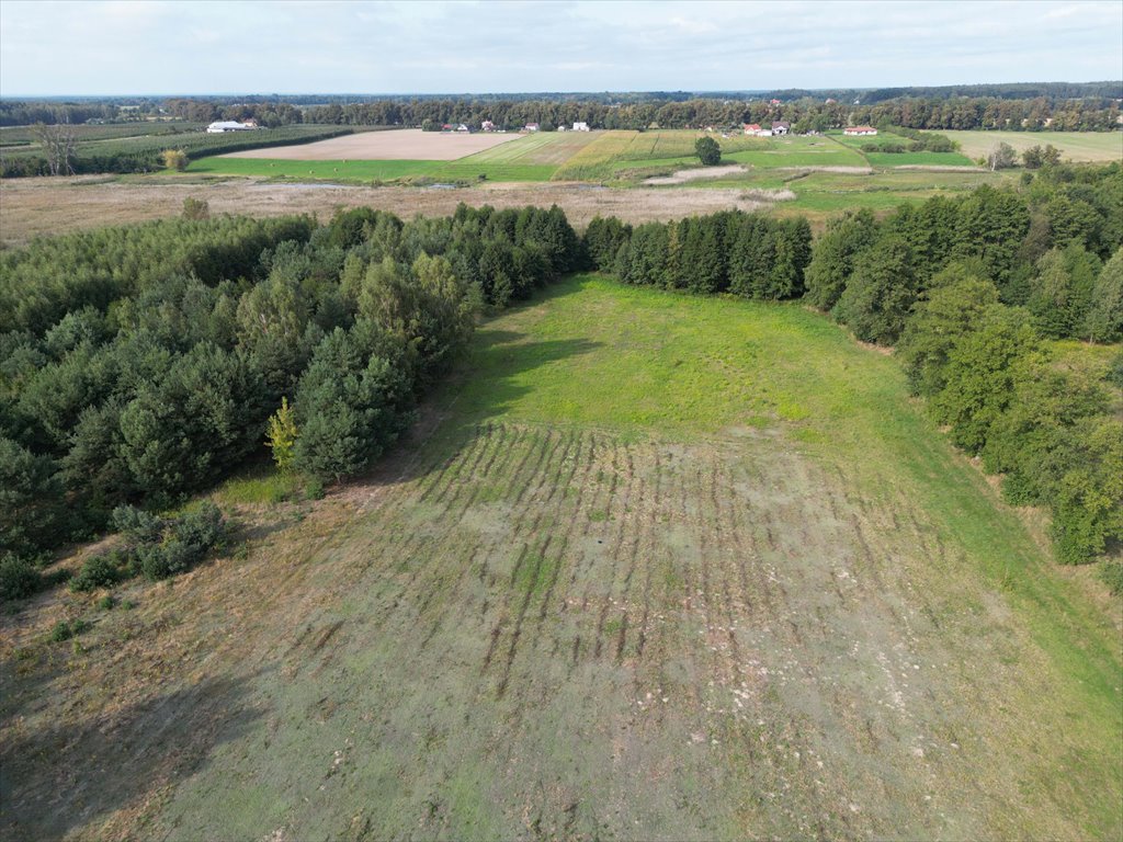 Działka budowlana na sprzedaż Nowe Paski  3 002m2 Foto 1