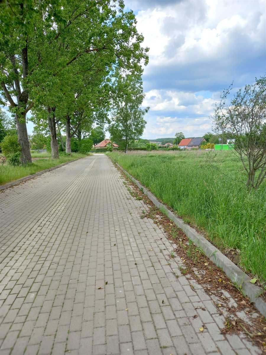 Działka budowlana na sprzedaż Chwaliszów, Chwaliszów  52 000m2 Foto 17