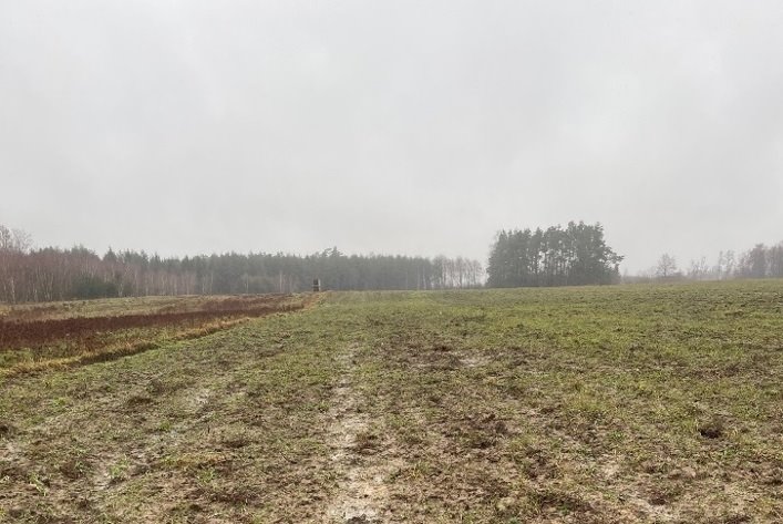 Działka rolna na sprzedaż Wrzeście  18 500m2 Foto 2