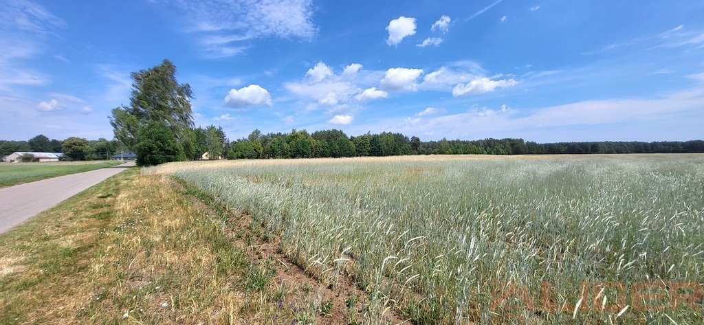 Działka inna na sprzedaż Krosno  267 700m2 Foto 11