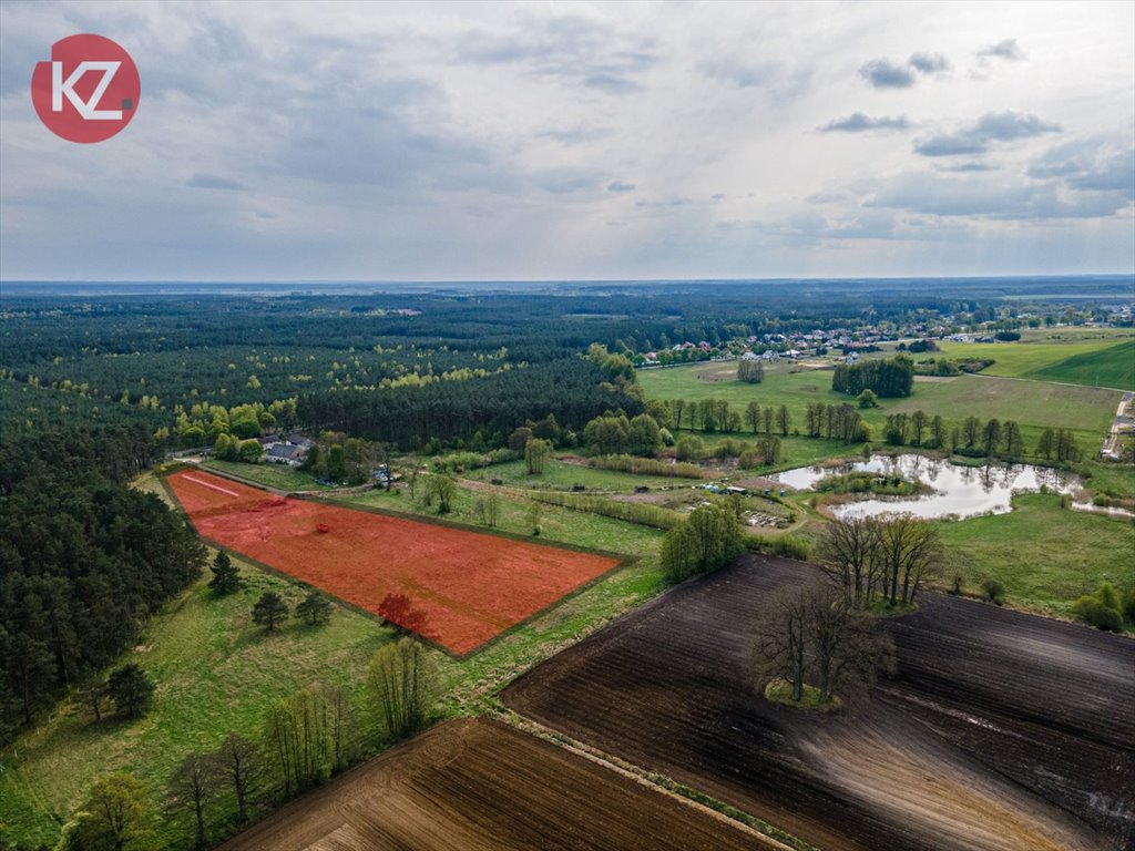 Działka inna na sprzedaż Piła, Łęgi  3 142m2 Foto 2