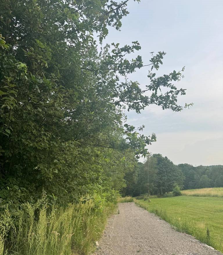 Sprzedam działkę 50 ar w Skawinie z możliwością inwestycji Skawina, Mikołaja Kopernika  5 000m2 Foto 1